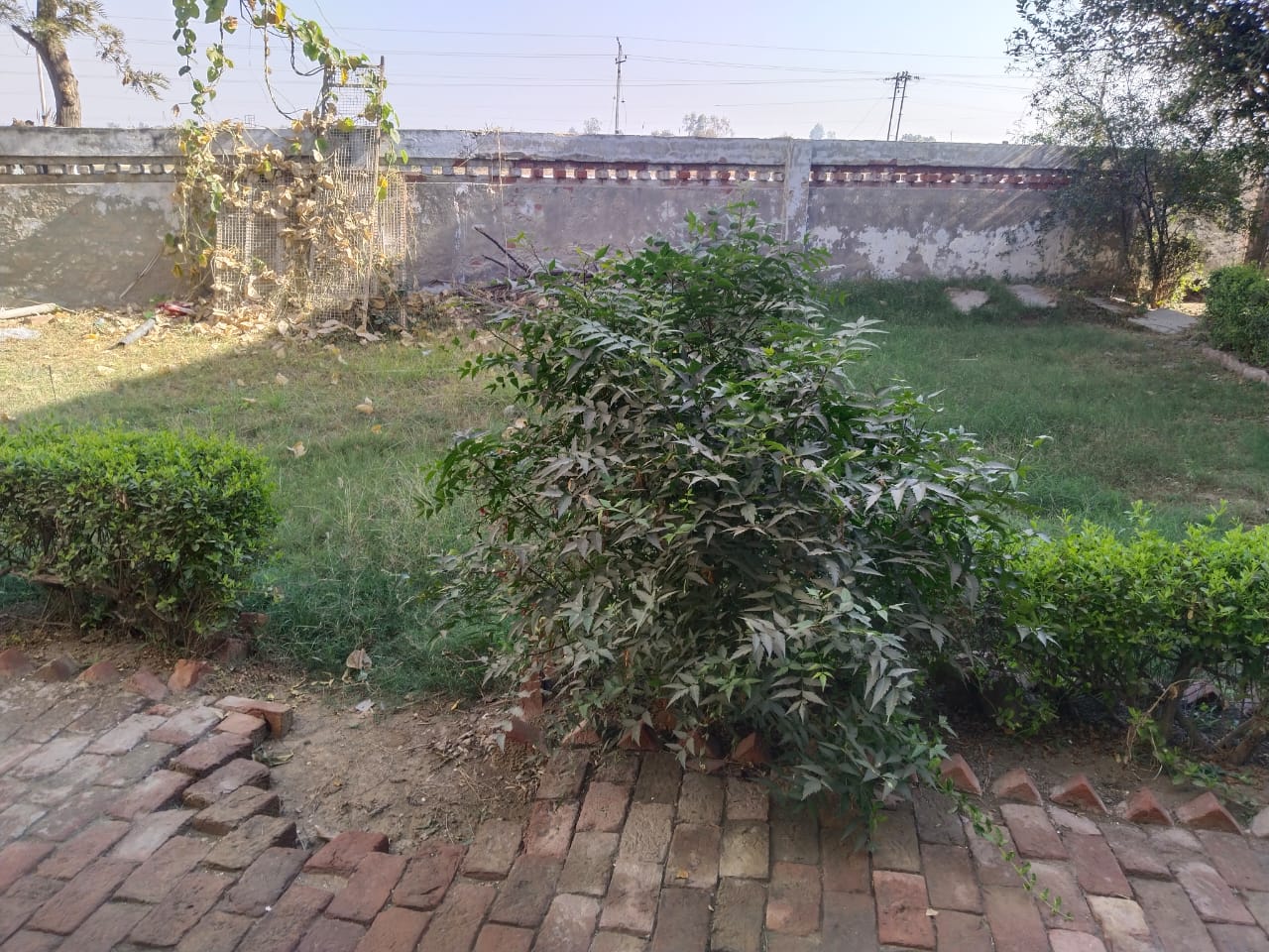 Akash college
